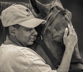 saratoga warhorse