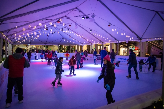 Holidice Synthetic Ice Skating Experience