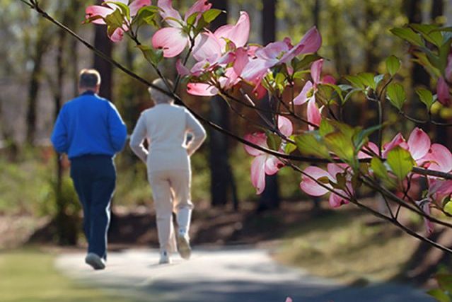 Couple walking in park