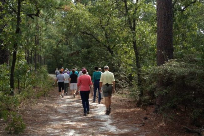 Hikers and Walkers 