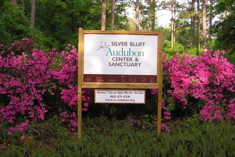 Aiken Attractions - Woodside