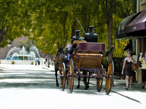 Horse drawn carriage 