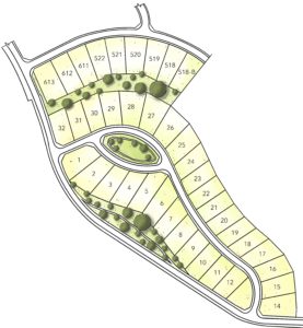 Bristlecone lots