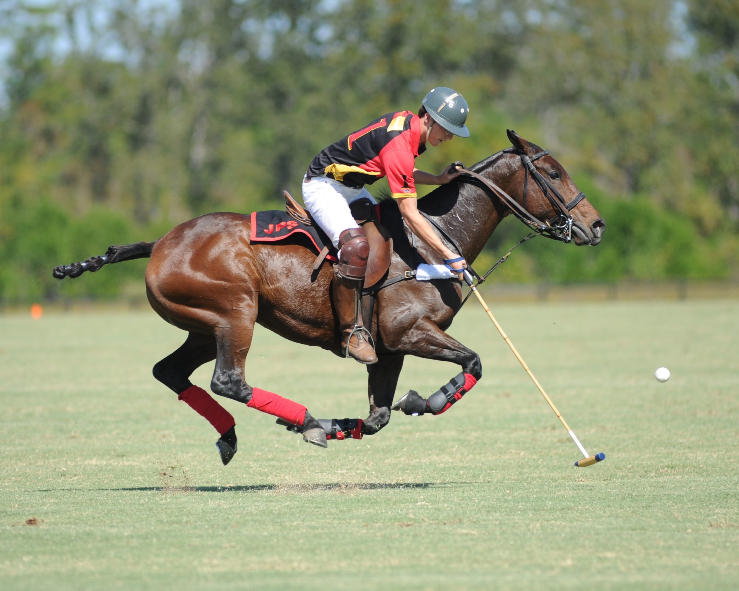 Polo player on horseback 