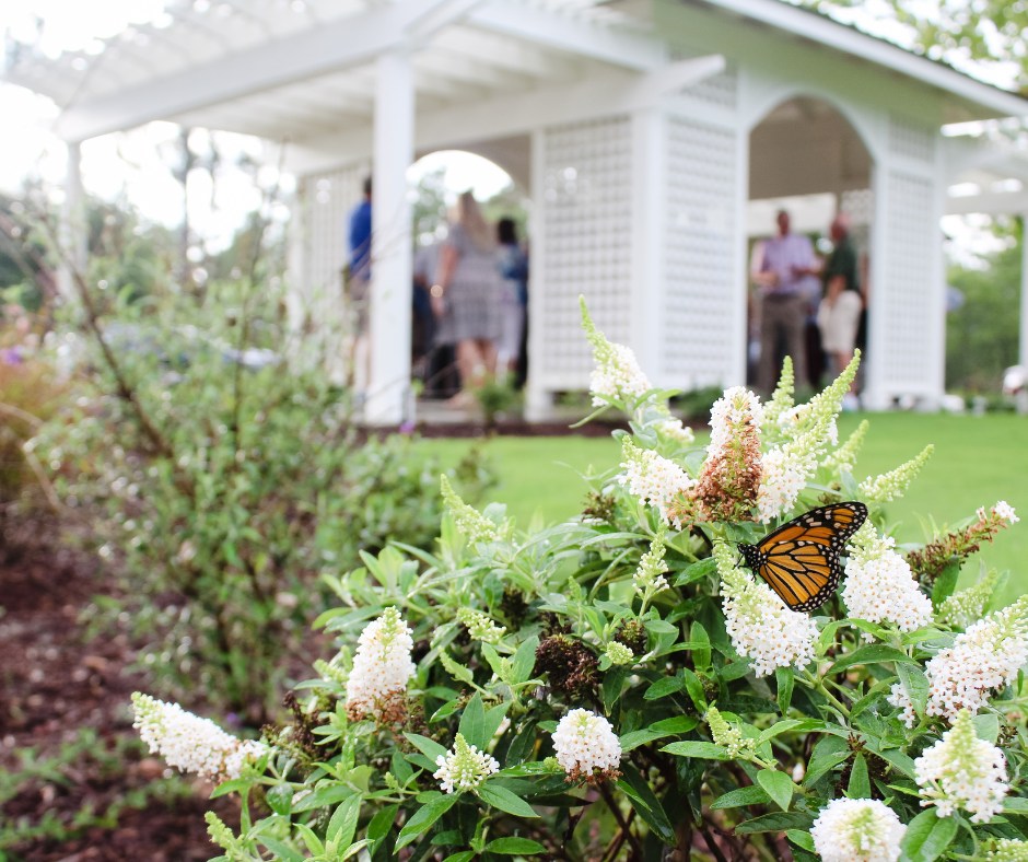 Woodside butterfly park