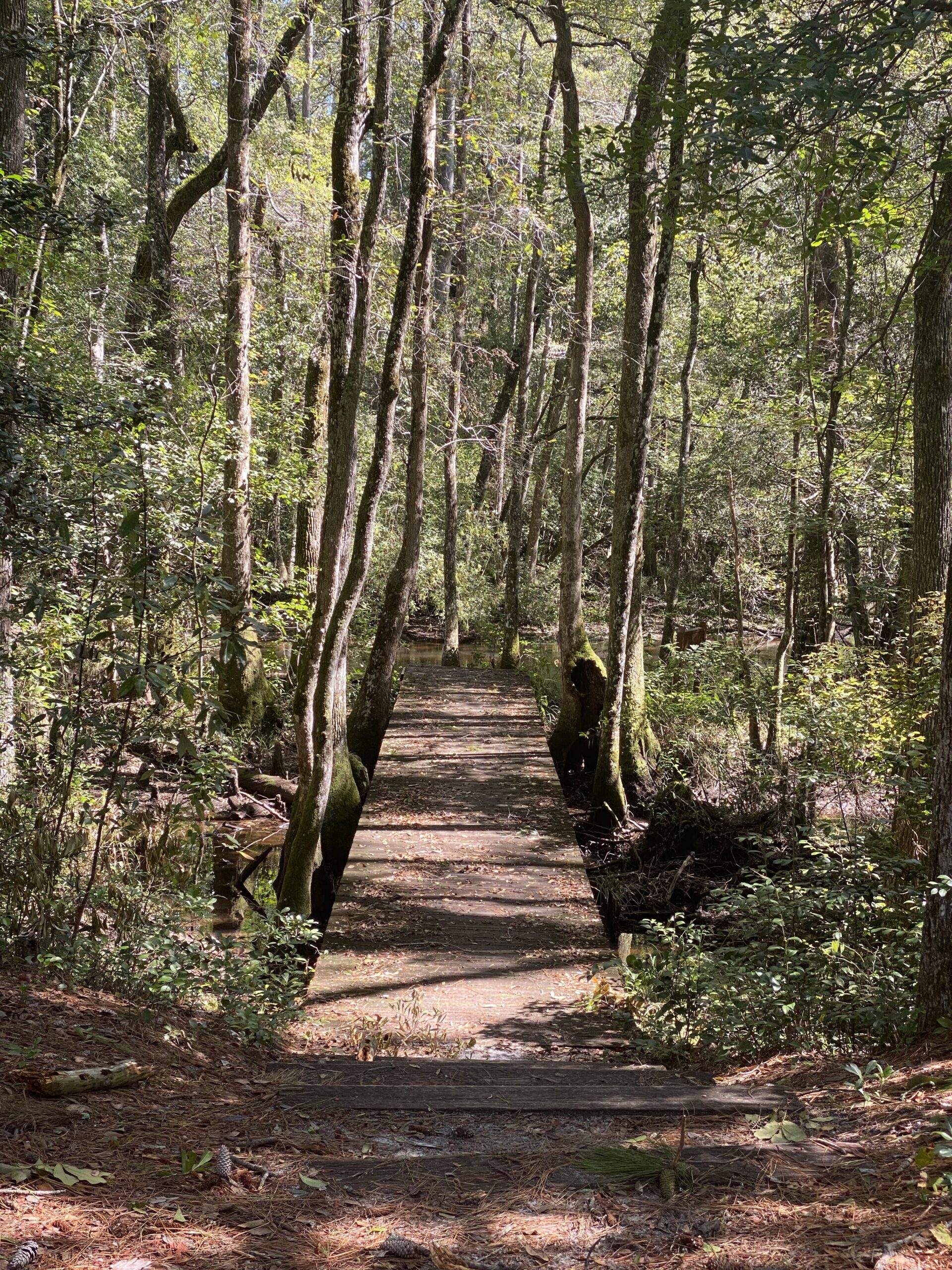 Walking Trail