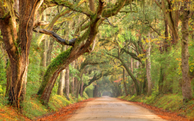 Aiken, SC – Low Cost of Living and Tax Friendliness