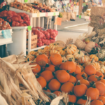 Fall Festival at Cold Creek Nurseries