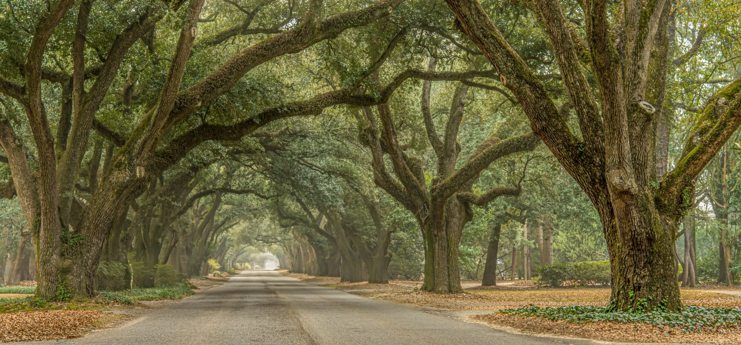 Aiken SC lifestyle