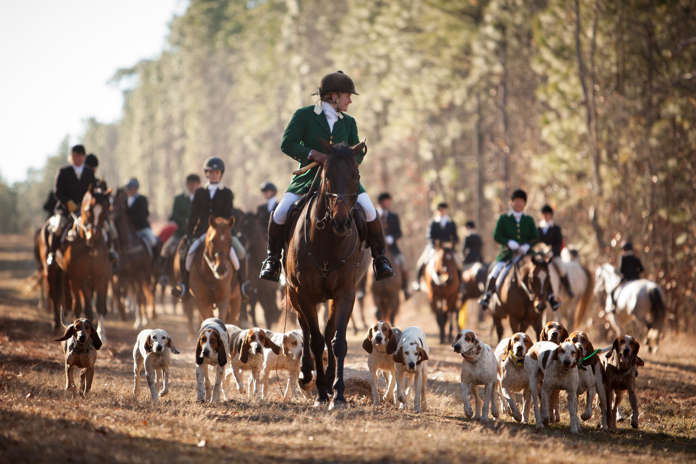 Aiken things to do