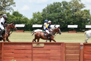 Aiken SC polo