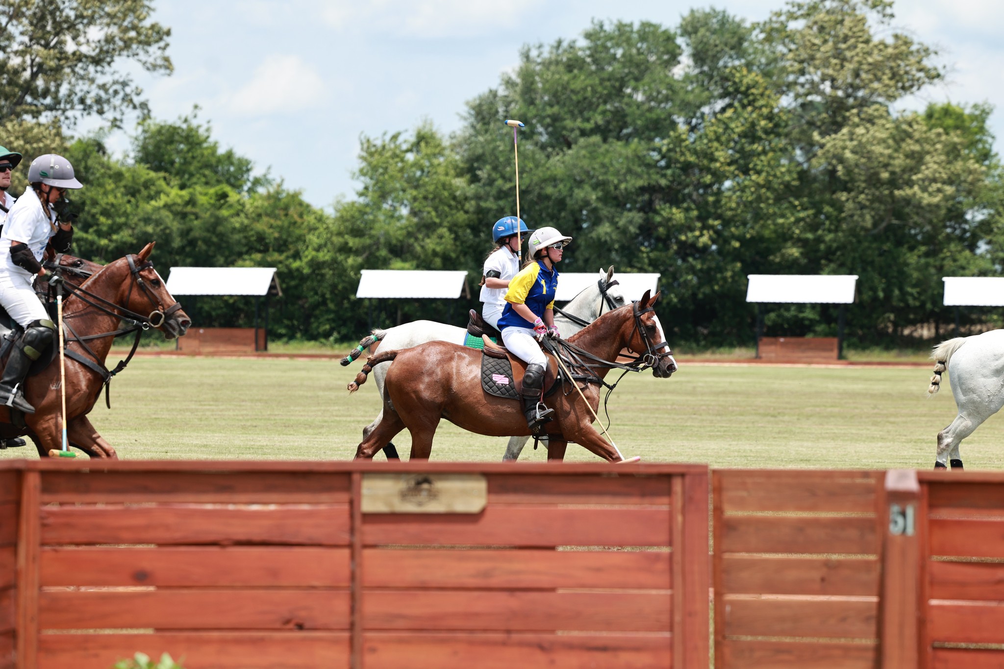 Aiken SC polo