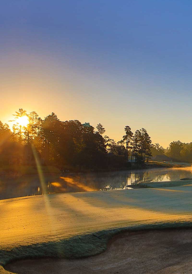 golf golf