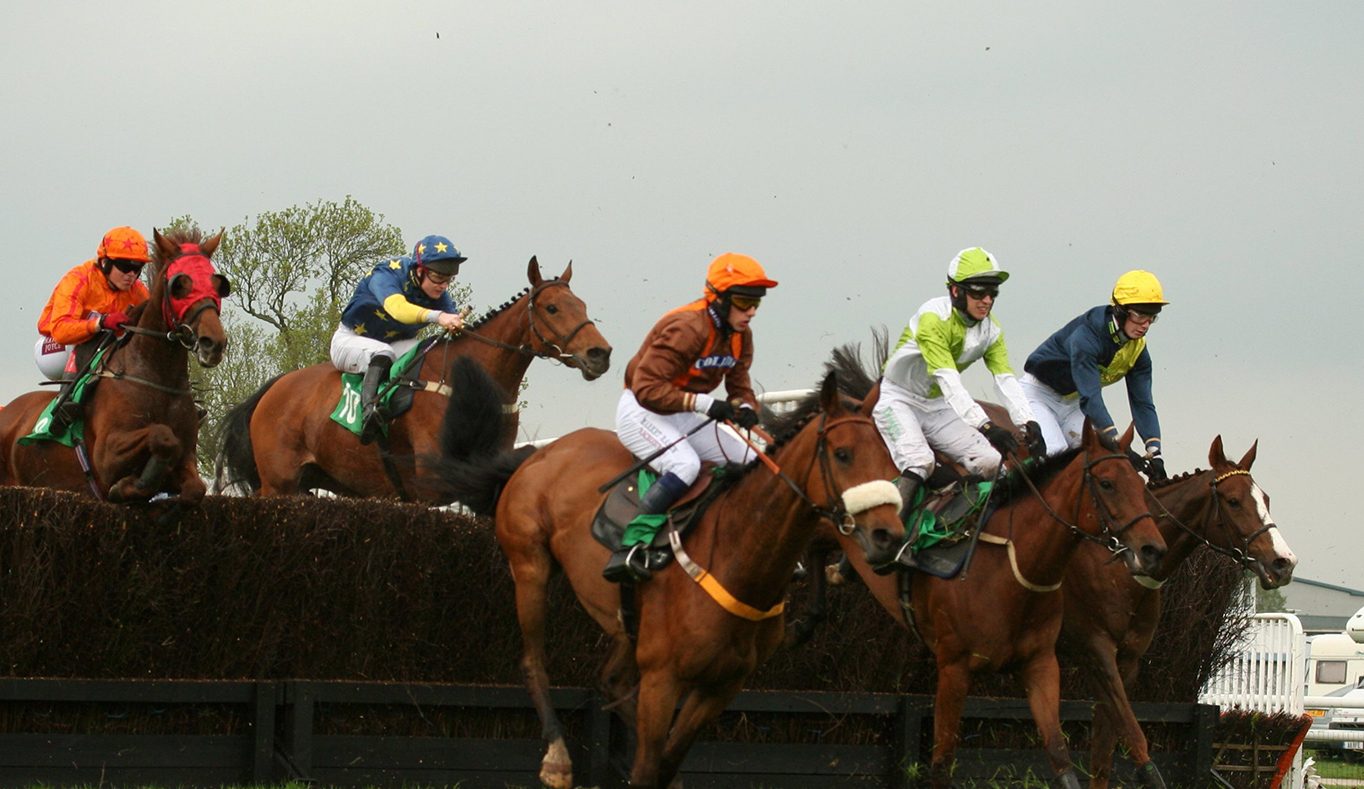 Equestrian Communities Luxury Gated Community Woodside